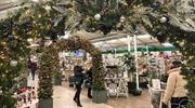 Top 100 garden centre products: EPOS data December 2025